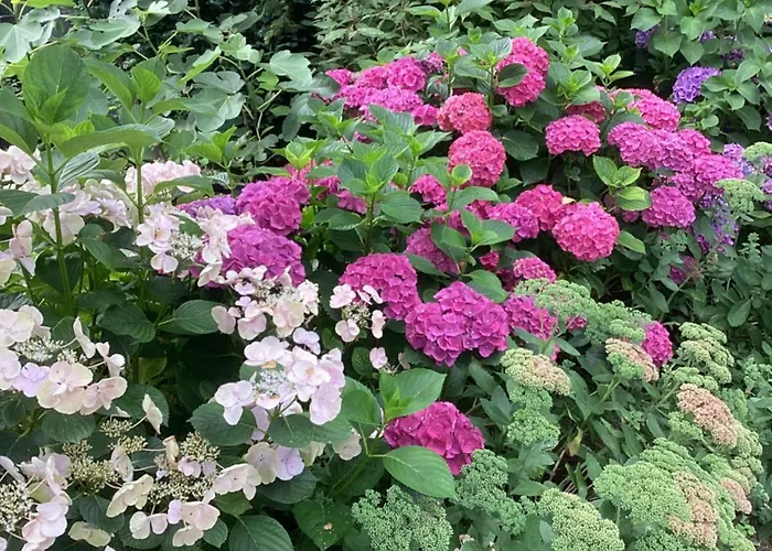 Waltrilo Vendégház Waalre