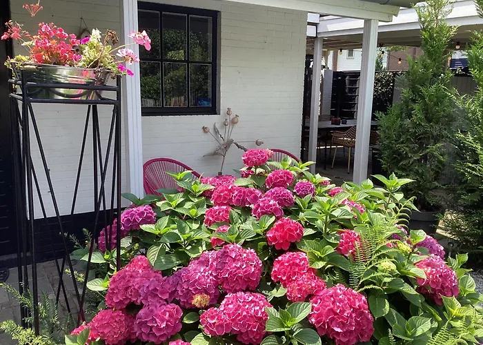 Vendégház Waltrilo Waalre